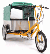 Cargo Trike